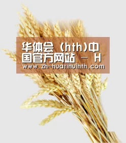 华体会 (hth)中国官方网站 - HTH SPORTS官网