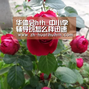 华体会hth