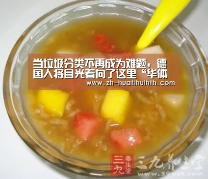当垃圾分类不再成为难题,德国人将目光看向了这里“华体会hth”(图1) 华体会hth