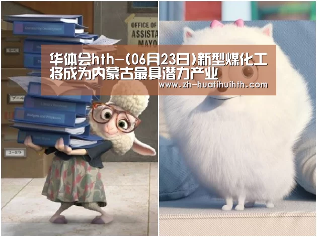 华体会hth-(06月23日)新型煤化工将成为内蒙古最具潜力产业(图1) 华体会hth
